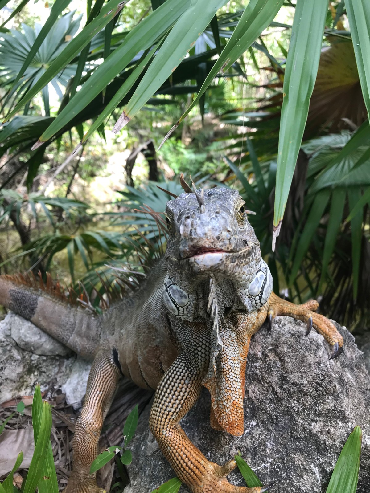 Take your hate and go&nbsp;away